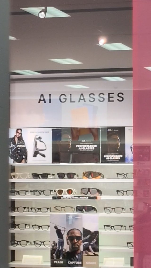 AI Glasses Are Like Having A Flock Camera On Your Face