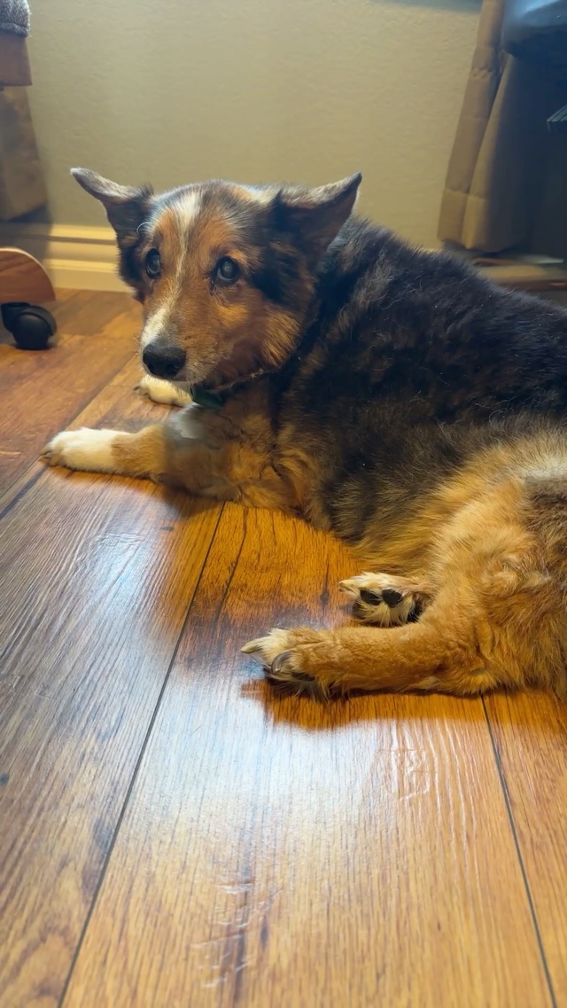 Sweet Buddy 💔