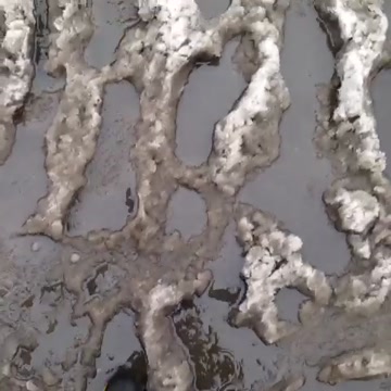 #puddles #thingsilove