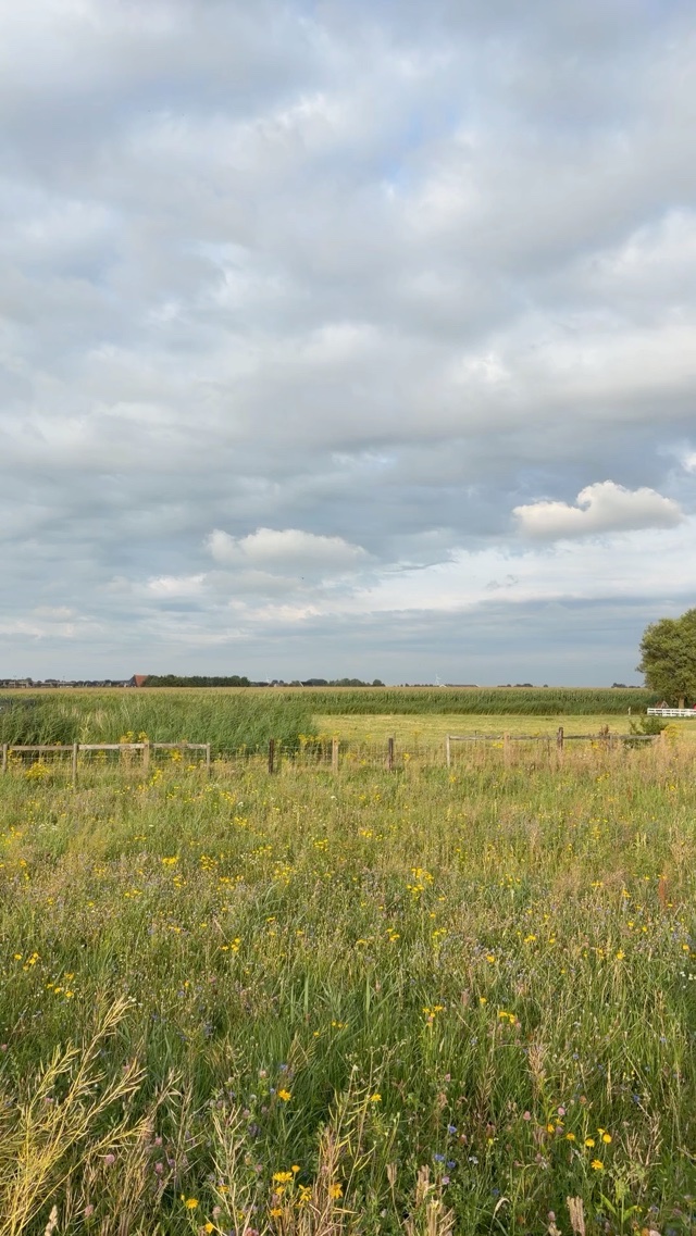Windmill in Friesland, the Netherlands