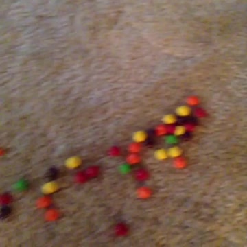 Taste the rainbow...🌈😂 #dinky