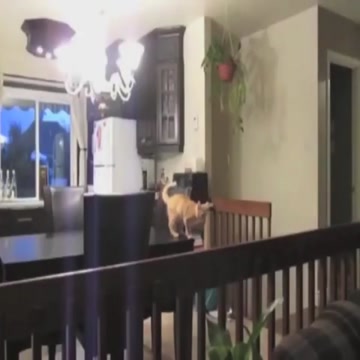 The jump of his life