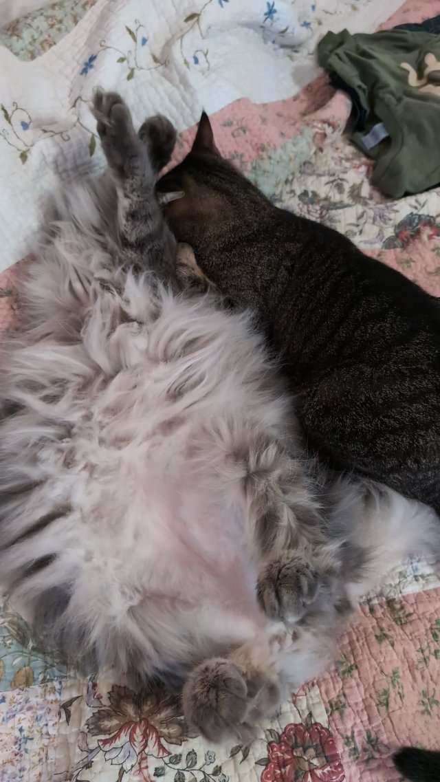 The Lovers