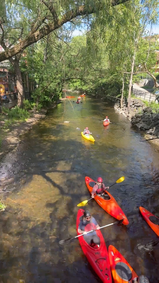 Kayaking in central Oslo