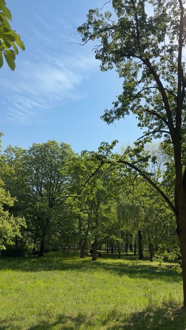 Łazienki Park in Warsaw Poland