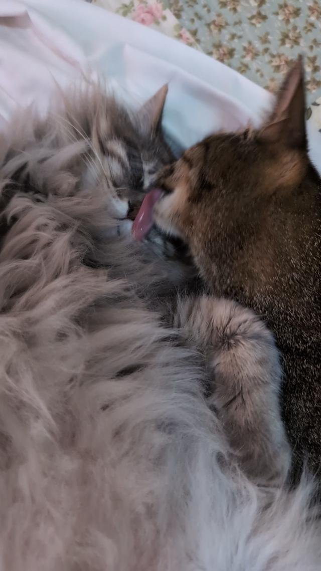 Bath Time