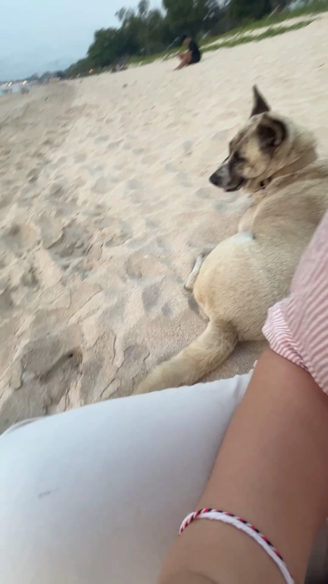 🐶 Why are you sitting right next to me?
なぜわたしのすぐ隣に？