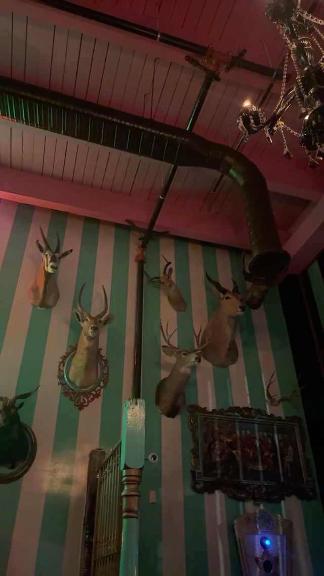 Judgmental antelope