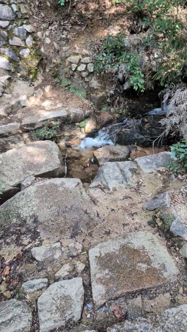 Hiking at Miyajima Island in Japan
