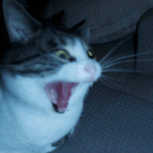 SLOPAGANDA
