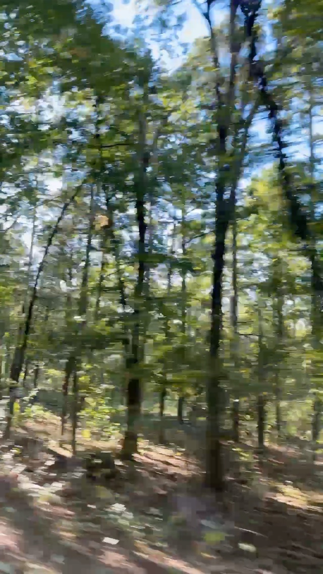 Driving Through the Mountains of Arkansas