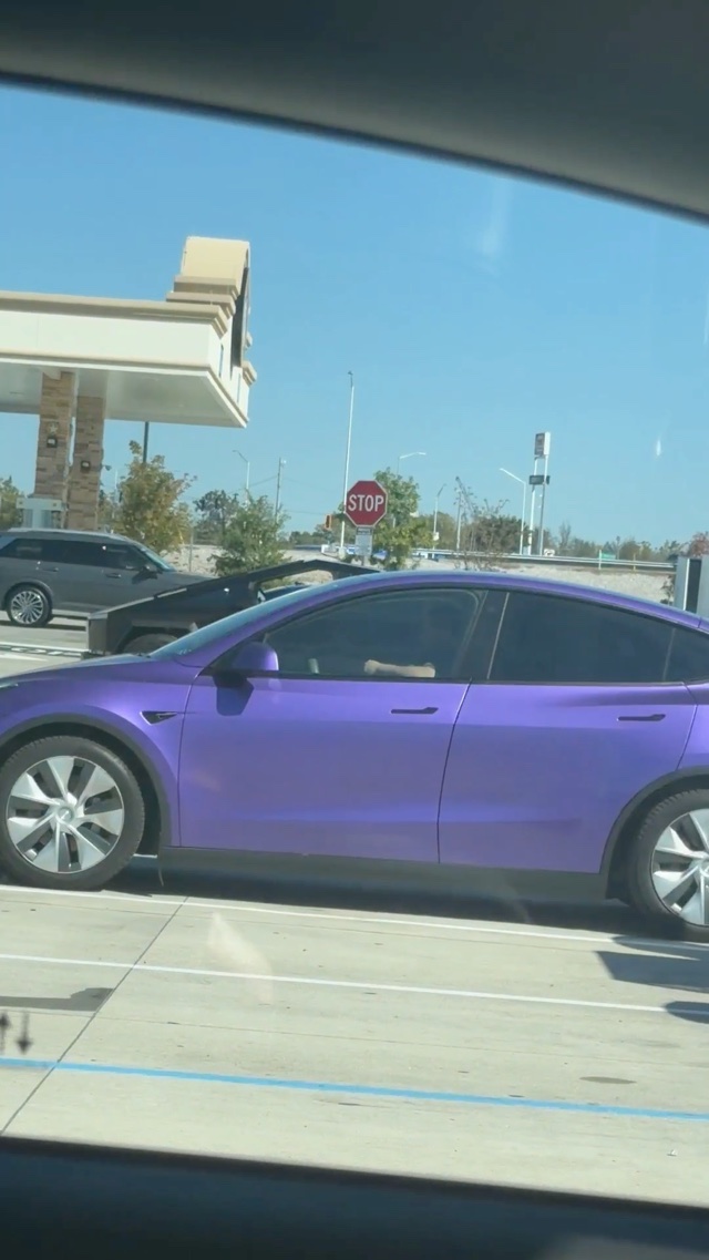 bowyer purple teslabro