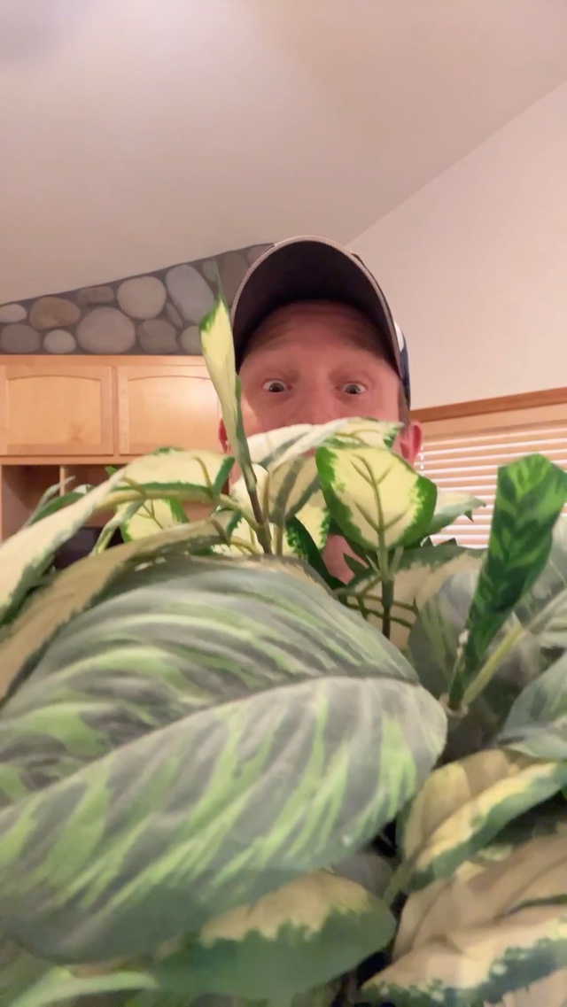Plant Nerd!