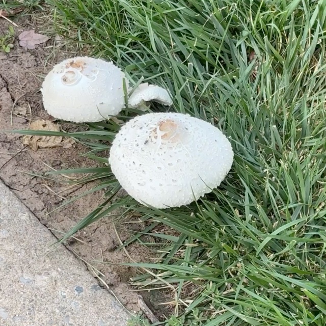 🤔