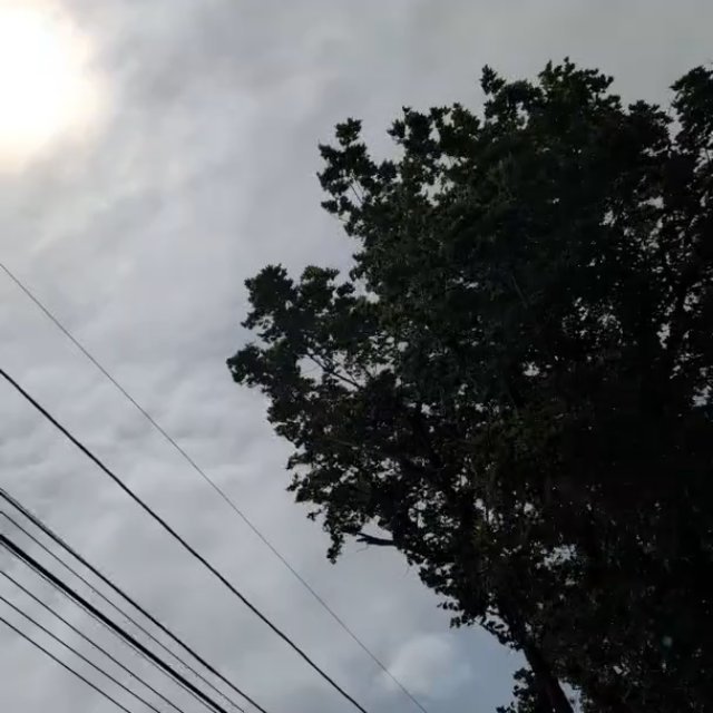 lovely day