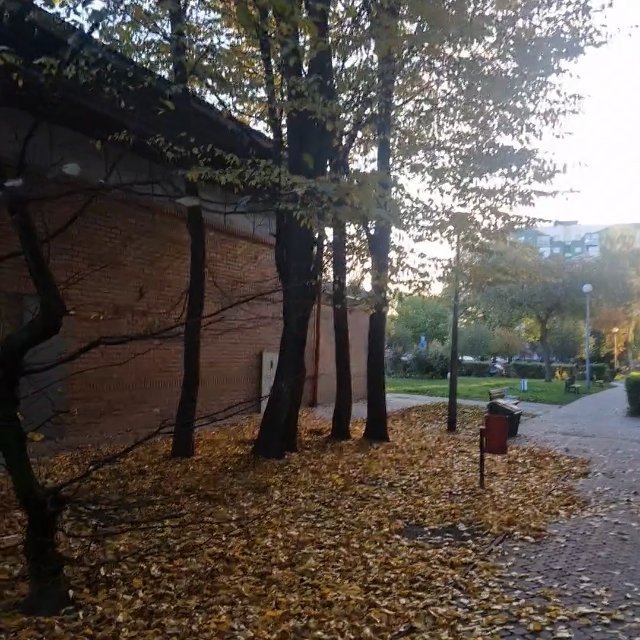 Fall