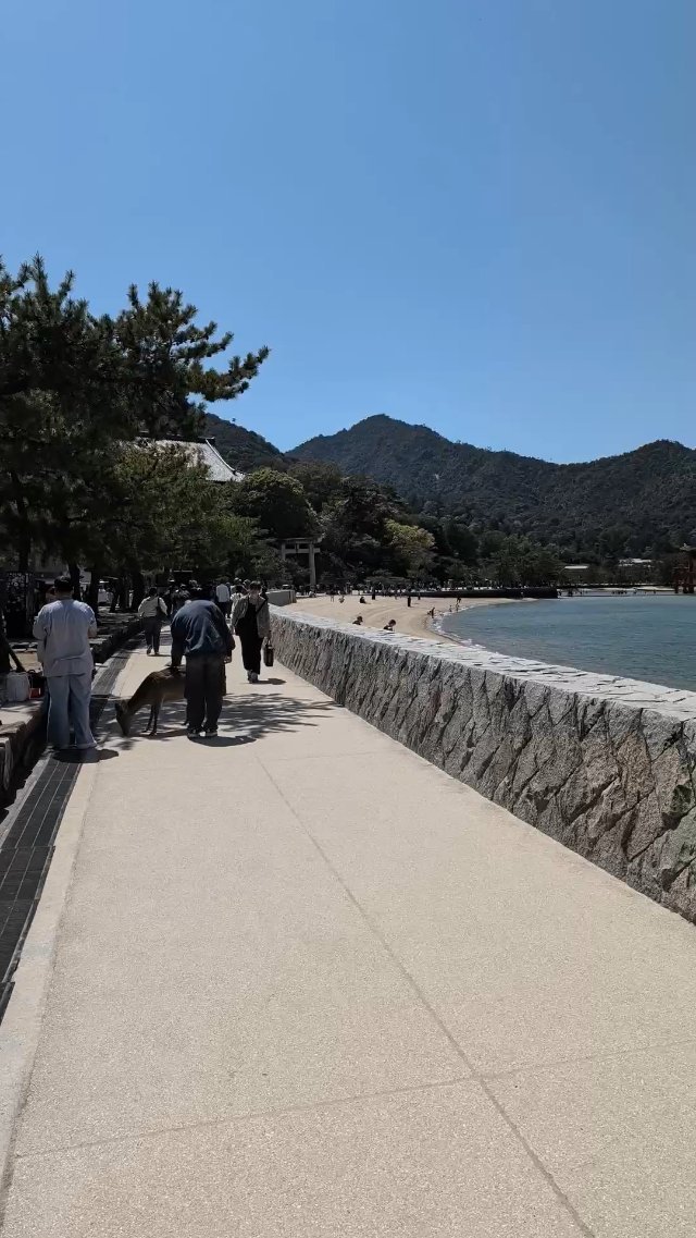 Great floating gate (O-Torii) at Miyajima Island in Japan