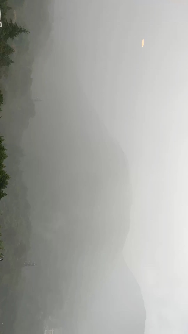 The Mist