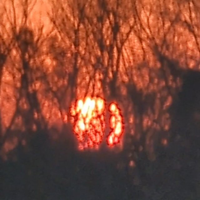 Sorry if it's blurry and out of focus my phone's acting up