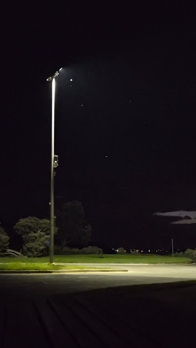 Moth