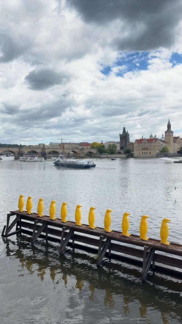 Vltava river in Prague