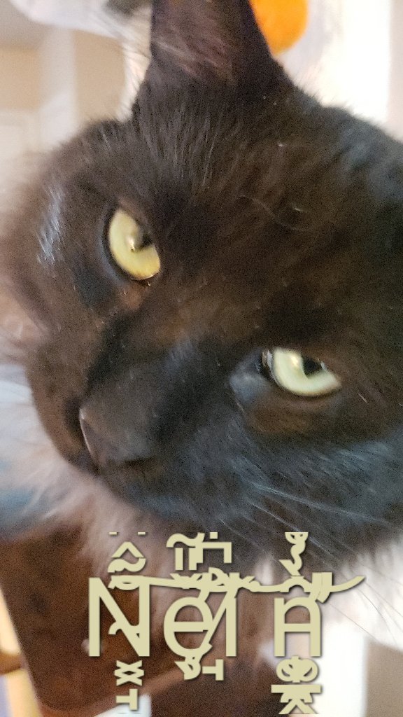 SekhmetFlame