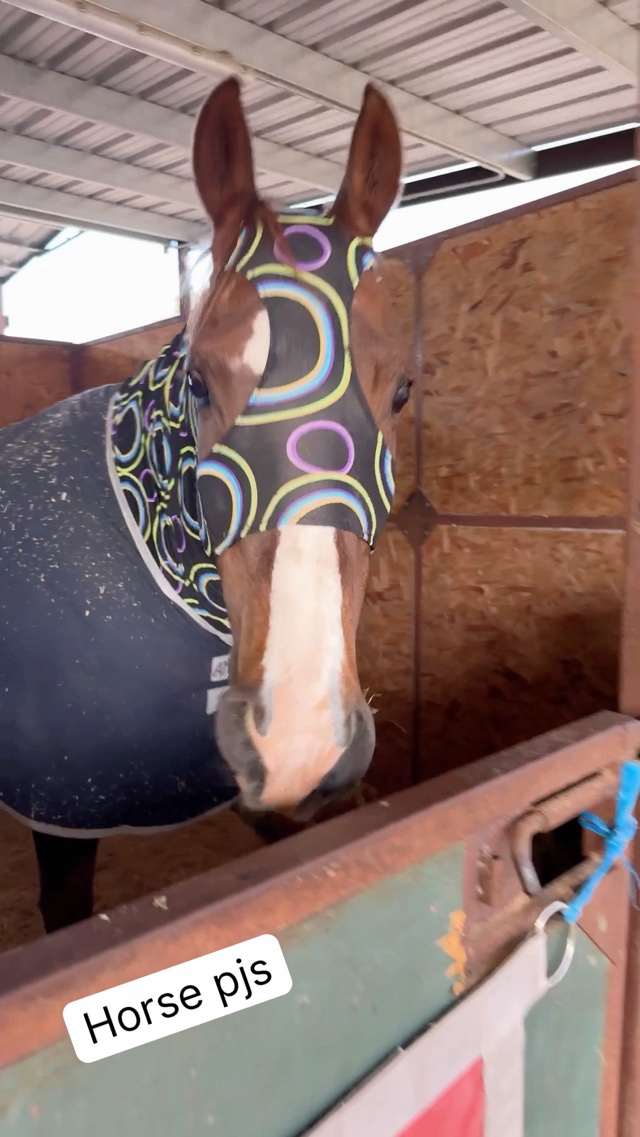 Horse pajamas 🥕
