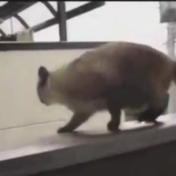 The jump of his life PART 2