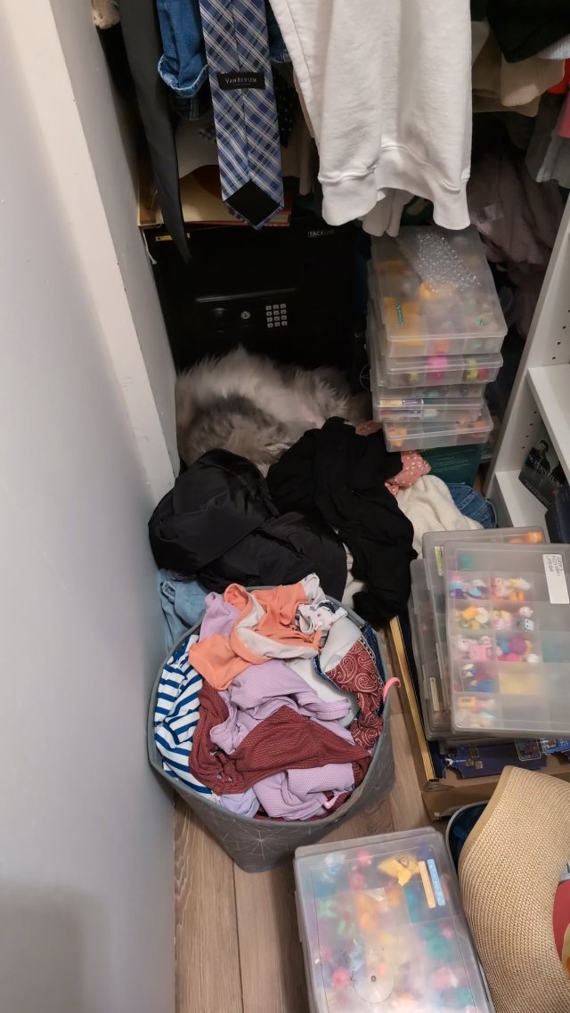 That Jacket is Moving