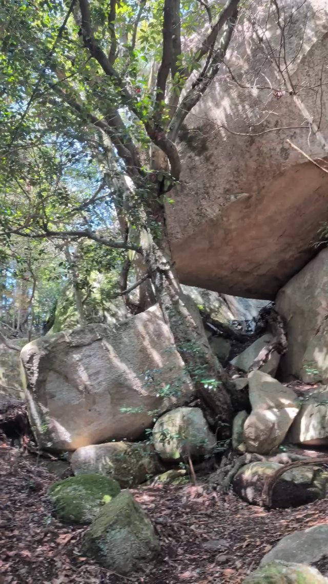 Hiking at Miyajima Island in Japan