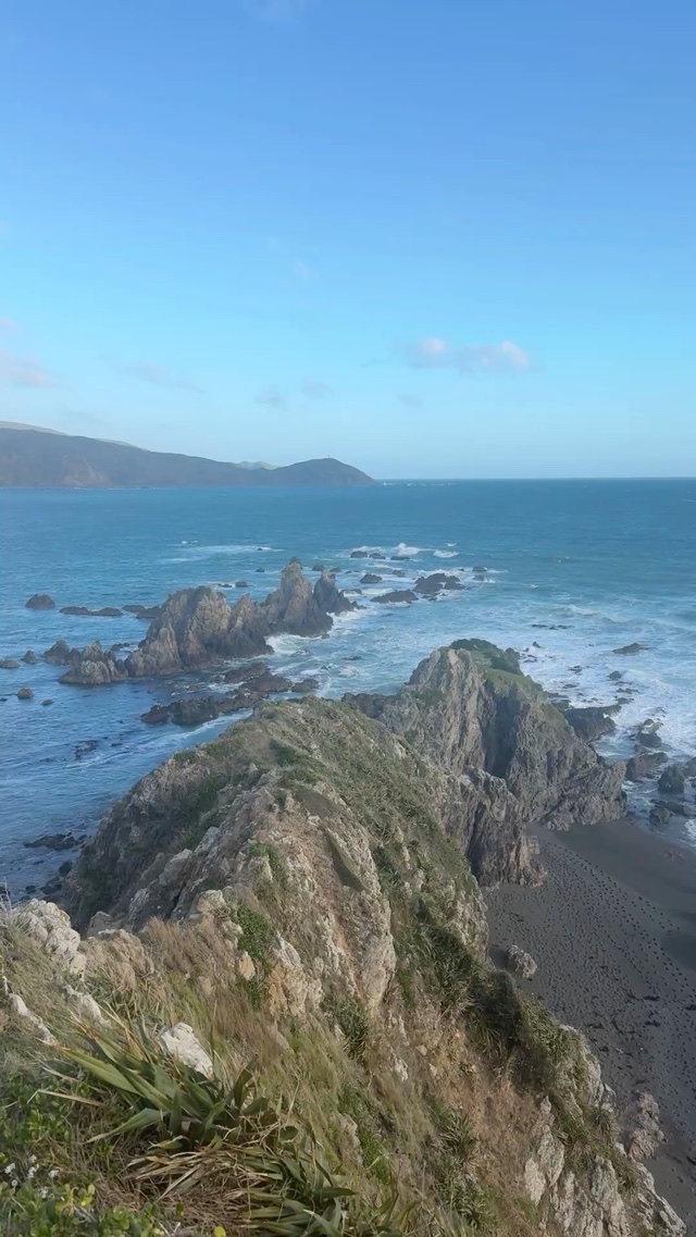 Windy spring day on the coast of Wellington