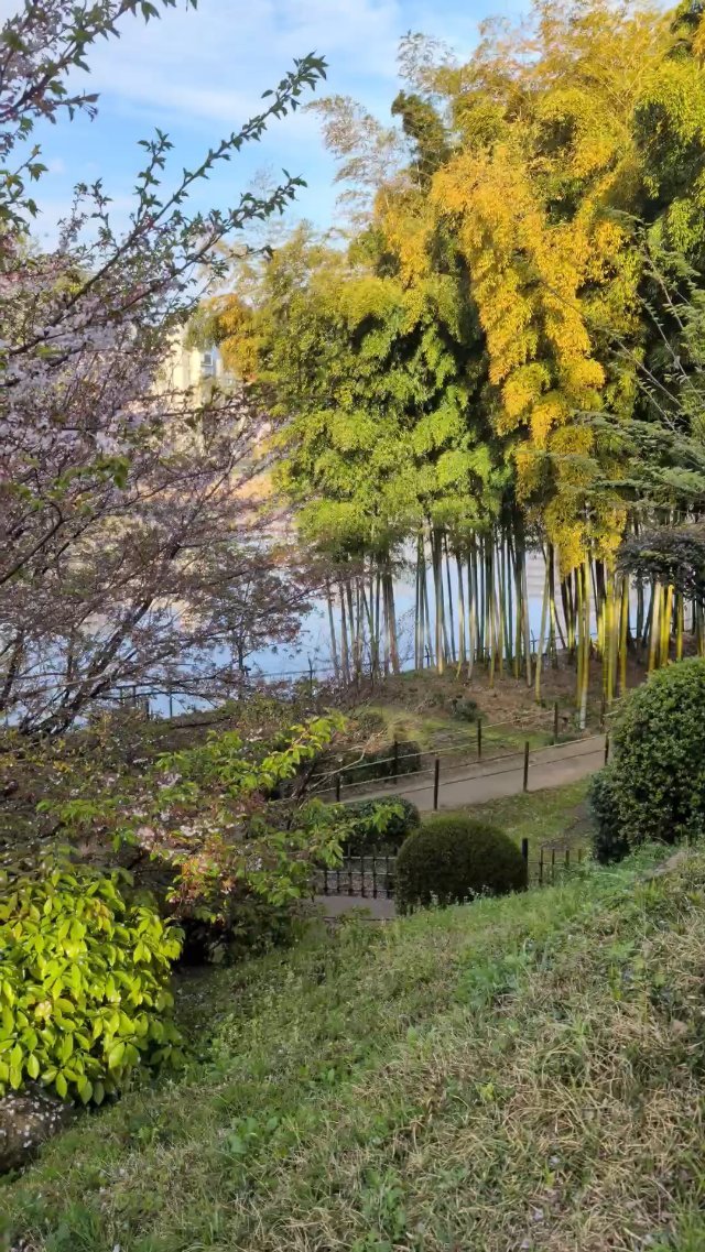 Shukkeien Garden in Hiroshima, Japan