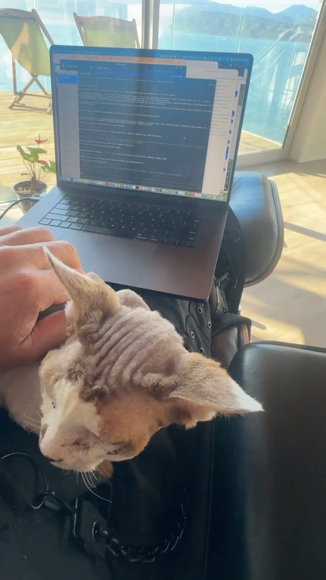 Working on divine with the cat on my lap
