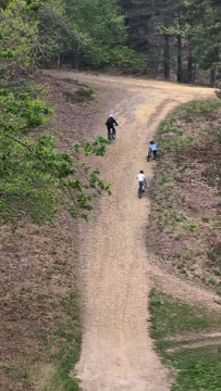 Swinley Forest