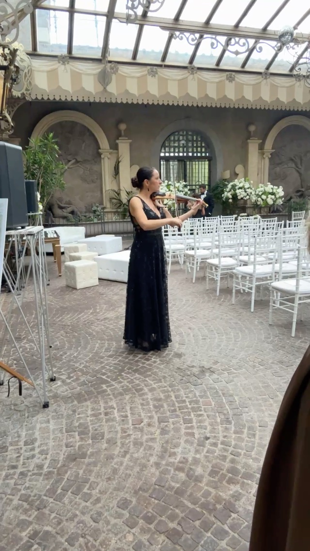 Violinista