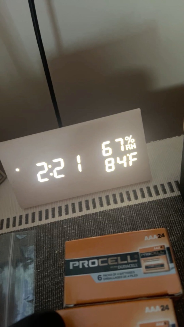 This fucking apartment is insane