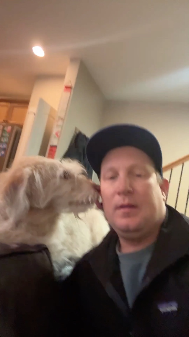 Timber has no advice for you