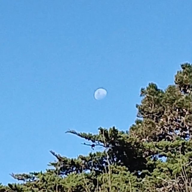 Daytime moon