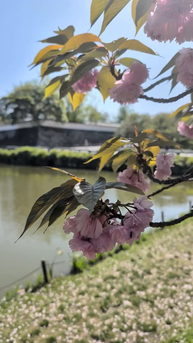 Fukuoka castle ruins in Japan