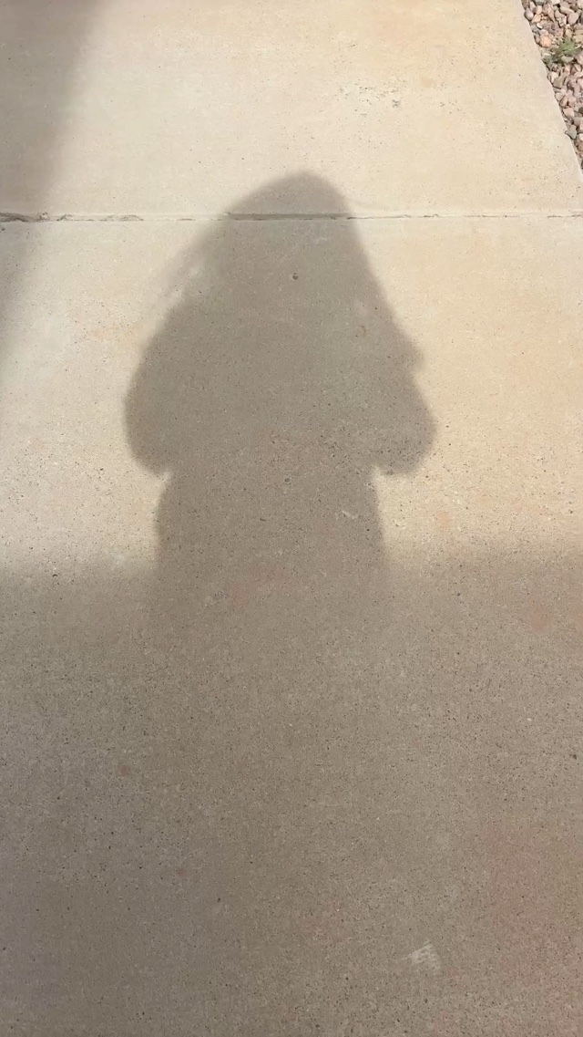 𝕊ℍ𝔸𝔻𝕆𝕎 𝔻𝔸ℕℂ𝕀ℕ𝔾 👤