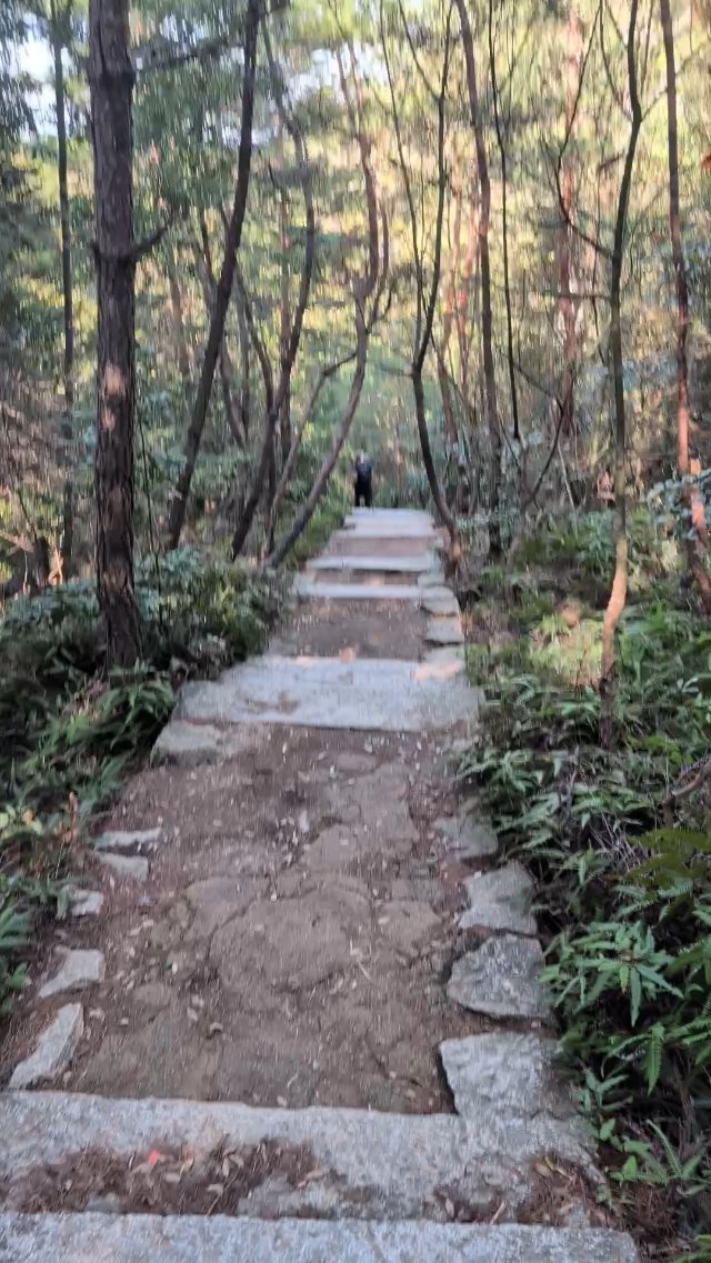 Hiking at Miyajima Island in Japan