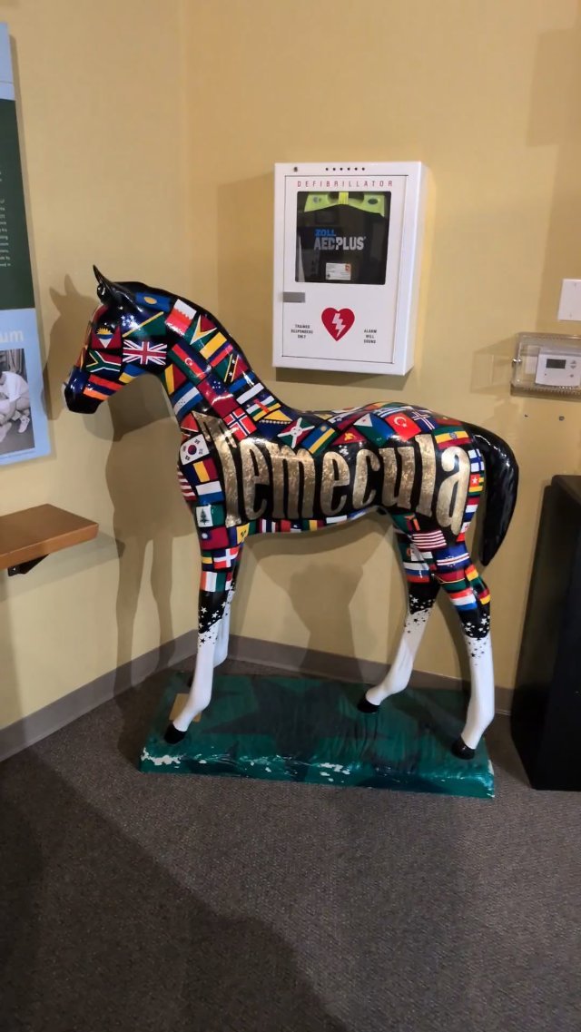 Temecula Valley Museum
