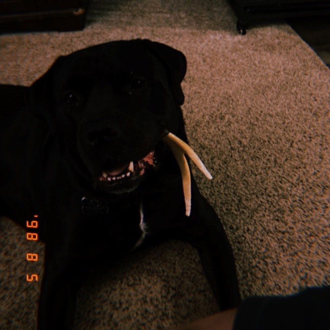 Maddy