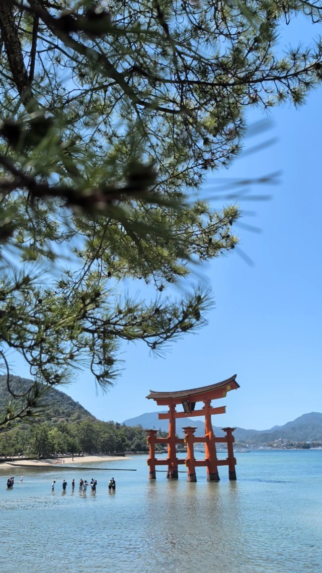 Great floating gate (O-Torii) at Miyajima Island in Japan