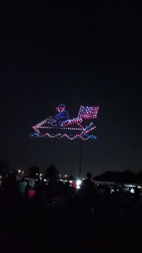 Drone Show