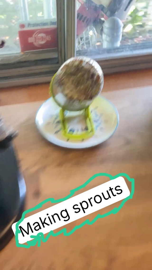 Sprouts be sprouting