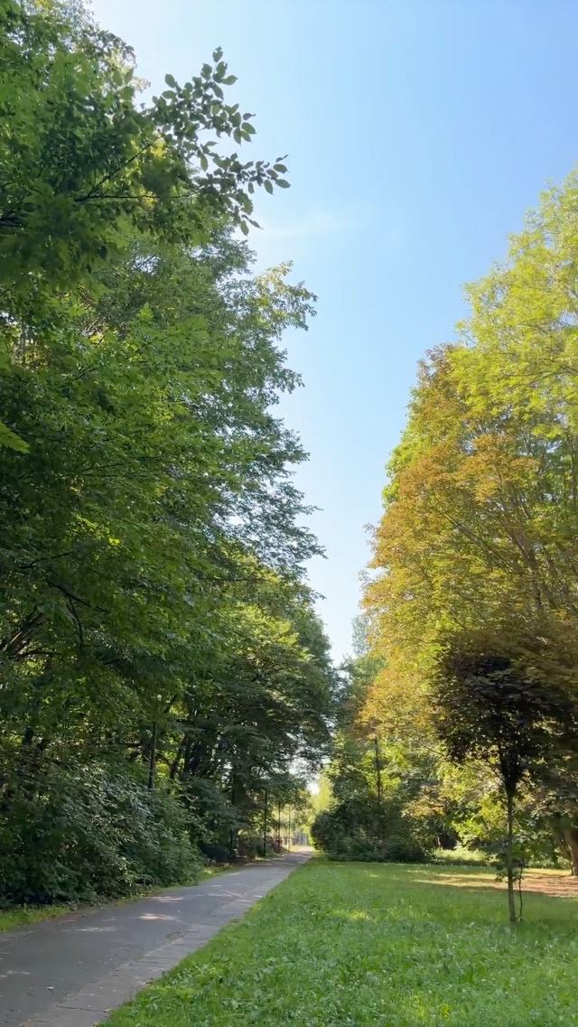 Birds singing at Pole Mokotowskie Park