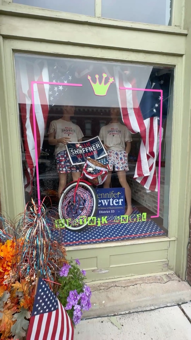 Vote Blue on November 3rd VOTE HALLIE SHOFFNER