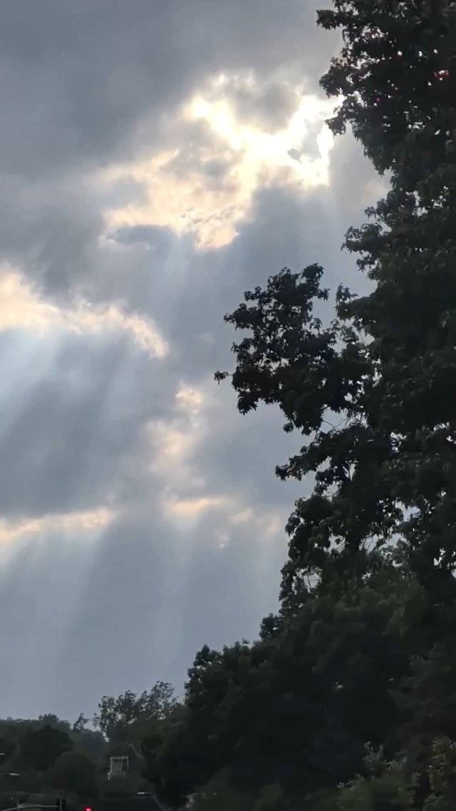Rainbeems